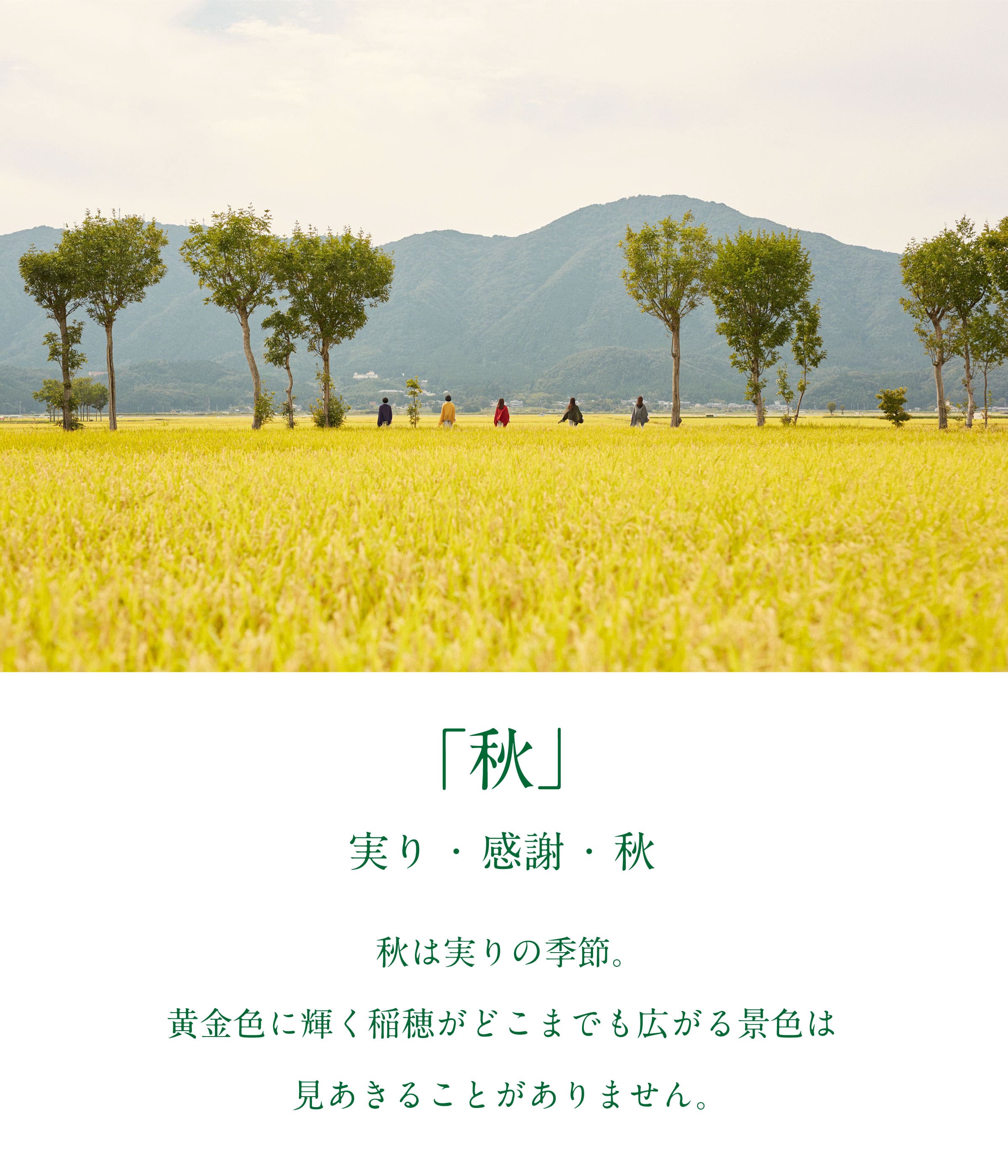 秋
