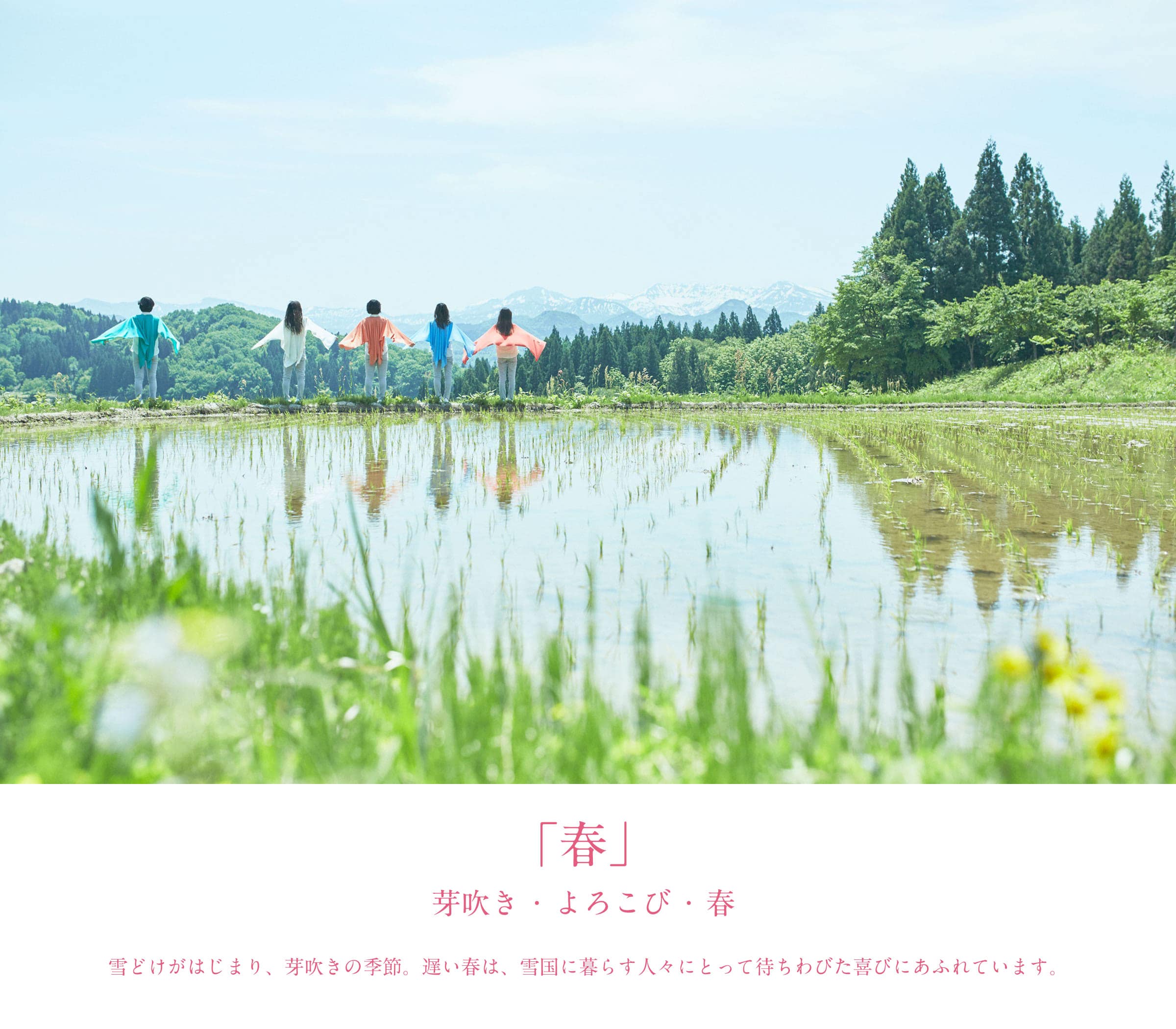 春