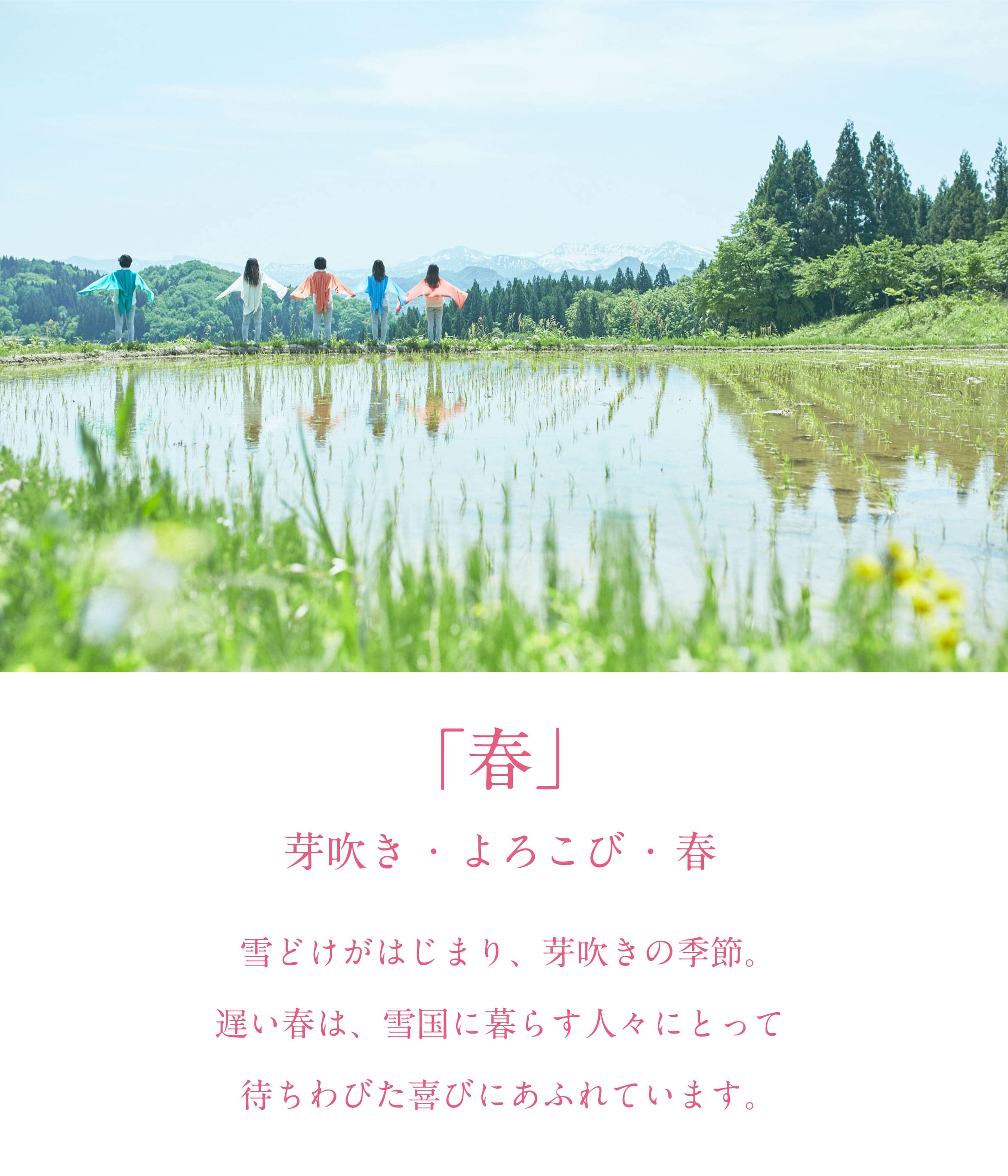 春