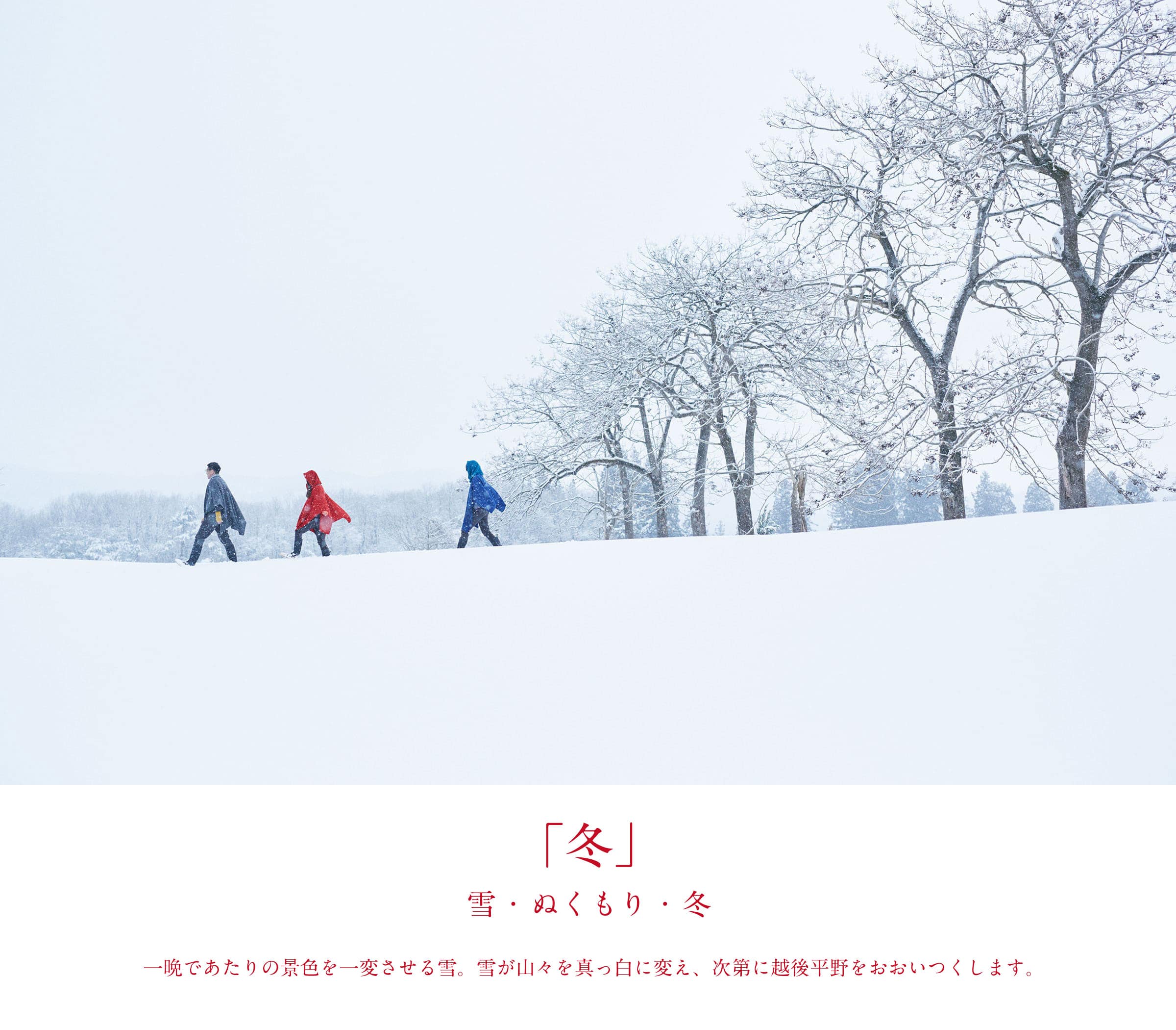 冬