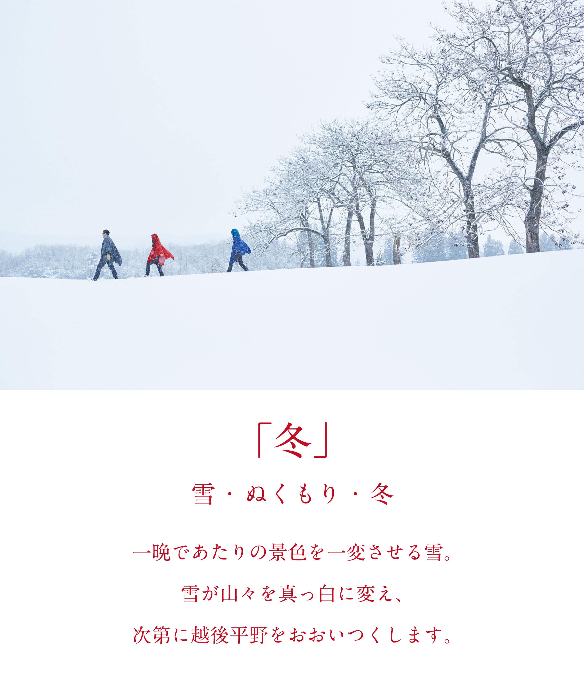 冬